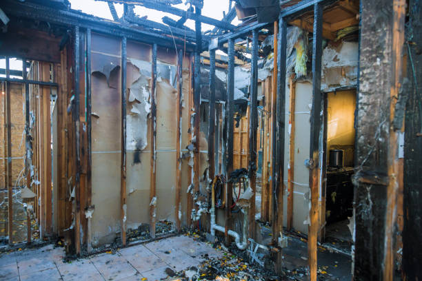 Professional Fire Damage Removal technician working in The Colony, TX