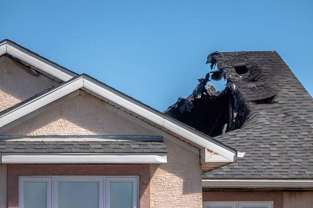 Top rated local Fire Damage Removal specialists in The Colony, TX